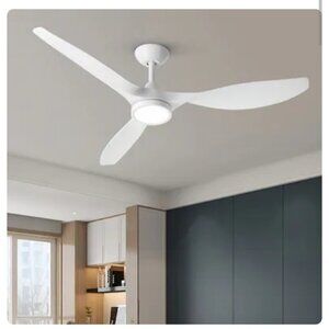 NEW TALOYA 52 inch Ceiling Fans with Lights Remote Control, Modern Low Profile